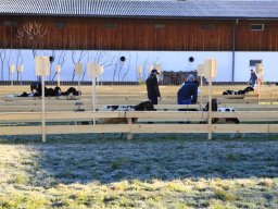 2019_ausstellung polling_002